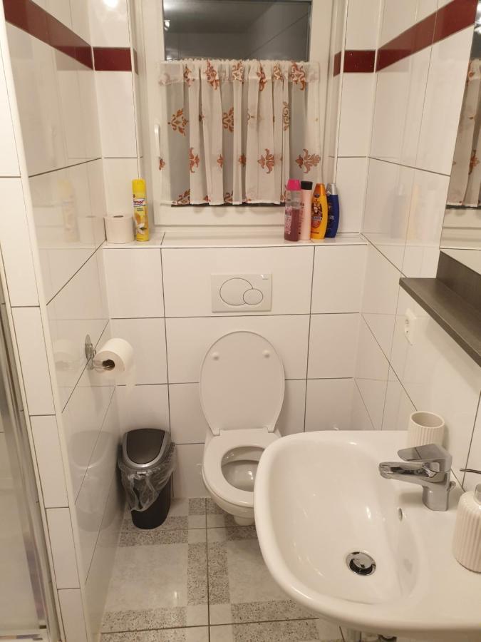 Dm Apartment Triberg im Schwarzwald Екстер'єр фото