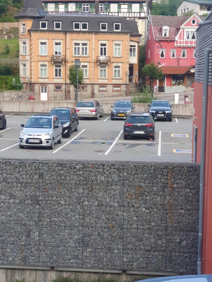 Dm Apartment Triberg im Schwarzwald Екстер'єр фото
